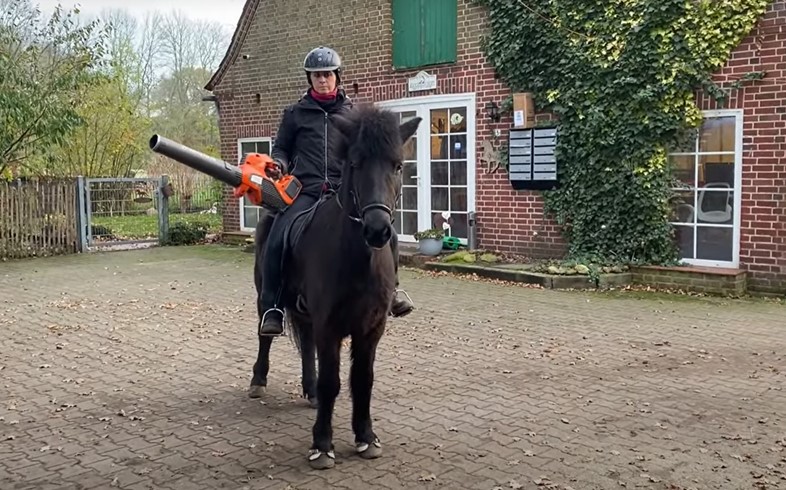 Eine Reiterin sitzt auf einem schwarzen Islandpferd auf einem gepflasterten Hof vor einem Backsteingebäude mit weißen Fenstern und einer grünen Tür. Sie trägt eine schwarze Reitjacke, eine schwarze Reithose, einen Schal, Handschuhe und einen Helm. In ihrer rechten Hand hält sie ein orangefarbenes Laubbläser-Gerät mit einer langen schwarzen Düse, das seitlich vom Pferd wegzeigt. Das Pferd steht ruhig und entspannt, mit aufmerksamen Ohren. Der Hintergrund zeigt ein ländliches Anwesen mit Rankpflanzen an der Fassade, Briefkästen und Gartendekoration. Der Boden ist mit einzelnen herabgefallenen Blättern bedeckt, und das Wetter wirkt herbstlich und kühl.