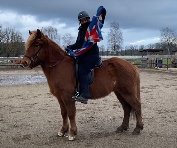 Auf dem Bild sieht man eine Reiterin, die auf einem Islandpferd steht, während sie eine Flagge in der Hand hält. Das Pferd steht ruhig und stabil, was auf eine gute Ausbildung und Vertrauen zwischen Pferd und Reiterin hinweist. Die Reiterin trägt eine vollständige Reitausrüstung, einschließlich eines Helms, und ist mit einem warmen, praktischen Outfit ausgestattet. Die Umgebung ist eine sandige Reitfläche, umgeben von einer Umzäunung, was auf eine sichere und kontrollierte Trainingsumgebung hindeutet. Die Reiterin scheint eine spezielle Übung oder ein Training durchzuführen, da sie eine Flagge in der Hand hält, was möglicherweise auf eine Übung zur Gewöhnung des Pferdes an ungewöhnliche Objekte oder Bewegungen hinweist. Der Himmel wirkt etwas bewölkt, was auf kühlere Temperaturen hinweist, aber die Stimmung ist ruhig und fokussiert. Das Bild vermittelt ein Gefühl von Vertrauen und Partnerschaft zwischen der Reiterin und ihrem Islandpferd.