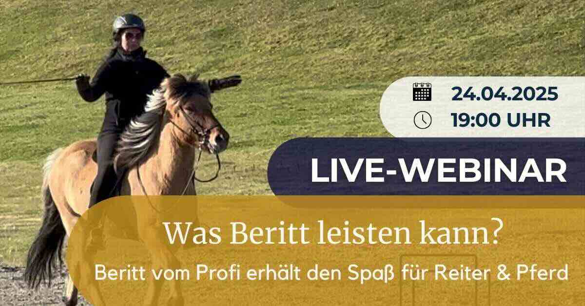 Reiterin auf einem Islandpferd in Bewegung auf einer grünen Wiese. Rechts im Bild ist ein Infokasten mit dem Text: „24.04.2025 – 19:00 Uhr – LIVE-WEBINAR“ Darunter steht in einem goldfarbenen Feld: „Was Beritt leisten kann? Beritt vom Profi erhält den Spaß für Reiter & Pferd.“