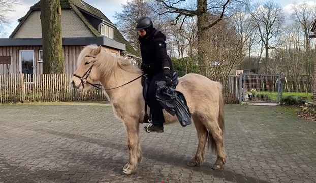 Eine Reiterin sitzt auf einem hellen, cremefarbenen Islandpferd mit dichter Mähne. Sie trägt eine schwarze Reitjacke, schwarze Reithose, Handschuhe und einen Helm. In ihrer rechten Hand hält sie eine große, schwarze Plastiktüte, während das Pferd ruhig und gelassen steht. Der Hintergrund zeigt einen gepflasterten Hof mit einem Holzzaun, ein Haus mit Reetdach und mehrere Bäume ohne Laub. Das Wetter ist bewölkt mit etwas Sonnenschein.