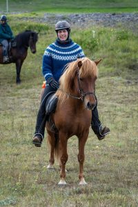 Inken & Gaefa​ Happy Horse Owner